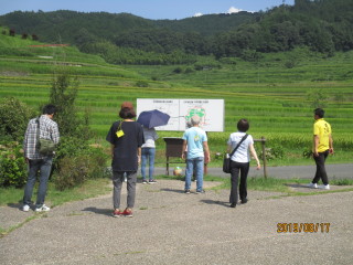 美咲町　棚田散策